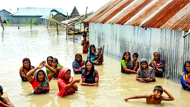 দুর্যোগ ব্যবস্থাপনা সহায়তা সমন্বয় সেল গঠন
