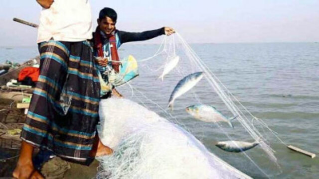 ২২ দিন পর আবার ইলিশ ধরা শুরু