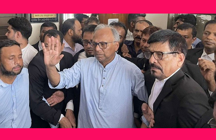 জামিনে মুক্ত হলেন মাহমুদুর রহমান