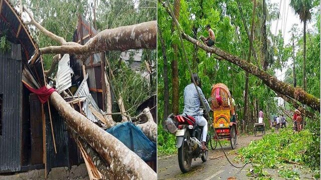 ঝড় ও বজ্রপাতে তিন জেলায় ৭ জনের মৃত্যু