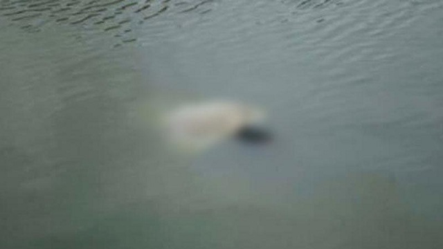জাবিতে পুকুরে ডুবে দুই শিশু মৃত্যু