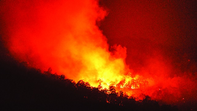 যুক্তরাষ্ট্রে দাবানলে ৩৬ জনের মৃত্যু