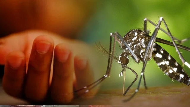 ডেঙ্গুতে ৮ জনের মৃত্যু
