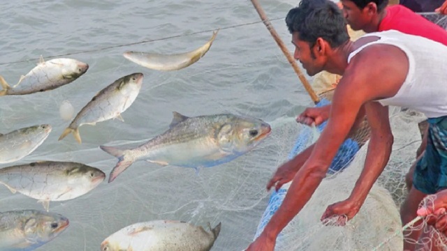 দেশে গরিব বেশি বরিশালে