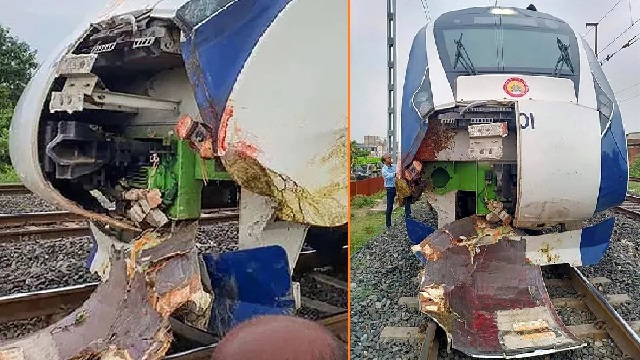 গরুর সাথে ধাক্কা লেগে ভারতের সর্বাধুনিক প্রযুক্তির ট্রেন ক্ষতিগ্রস্ত