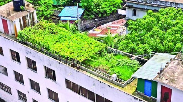 ছাদ কৃষিতে পুরস্কার দেবে ডিএনসিসি